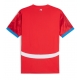 Cehia Republic Tricou Fotbal Replică European 2024 Barbati Acasa